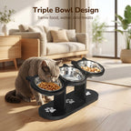 Anti-Slip Elevated 3-Bowl Pet Feeder